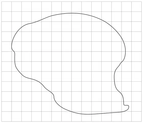 An irregular closed curved shape drawn on a square grid 14 squares wide and 12 squares high