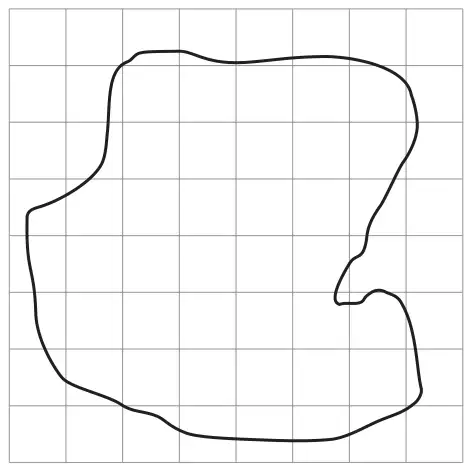 An irregular closed shape drawn on an 8 by 8 square grid, covering most of the grid