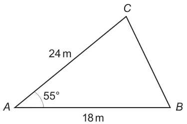 Triangle ABC with AB = 18 m along the bottom, AC = 24 m and angle BAC = 55 degrees