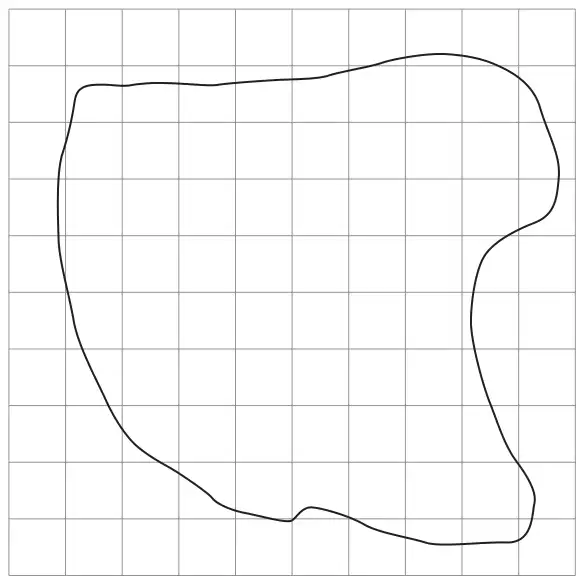 An irregular closed curved shape drawn on a 10 by 10 square grid