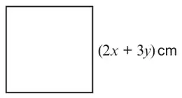 Square with side (2x + 3y) cm