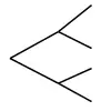 Tree diagram framework: two first branches, each followed by two second branches