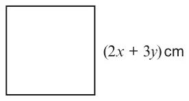 Square with side labelled (2x + 3y) cm.