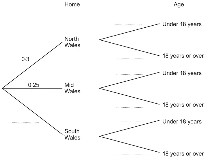 Tree diagram: first branches Home (North Wales 0·3, Mid Wales 0·25, South Wales blank), then from each home branches for Age (Under 18 years, 18 years or over), all blank