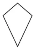 The kite
