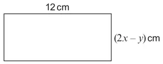 Rectangle with length 12 cm and width (2x - y) cm
