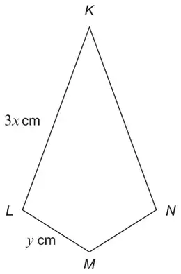 Kite KLMN with KL = 3x cm and LM = y cm