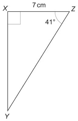 Right-angled triangle XYZ with the right angle at X, XZ = 7 cm and angle XZY = 41°