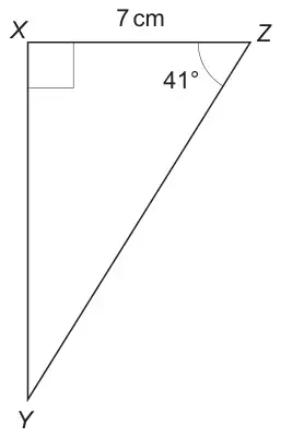 Right-angled triangle XYZ with the right angle at X, XZ = 7 cm and angle XZY = 41°