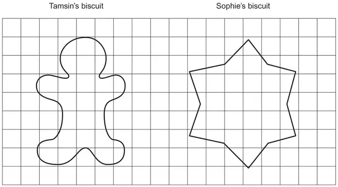 Tamsin’s gingerbread-person biscuit and Sophie’s star-shaped biscuit drawn on a centimetre squared grid