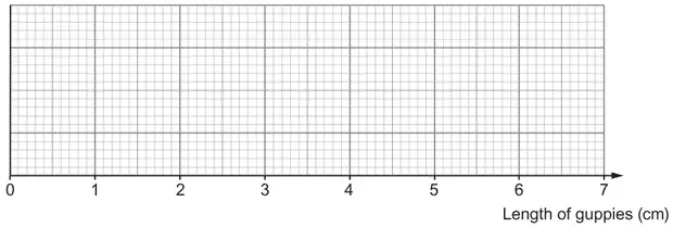 Blank grid with horizontal axis Length of guppies (cm) from 0 to 7