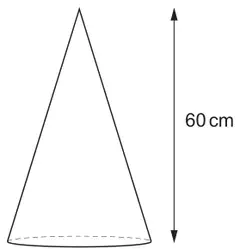 Cone of height 60 cm
