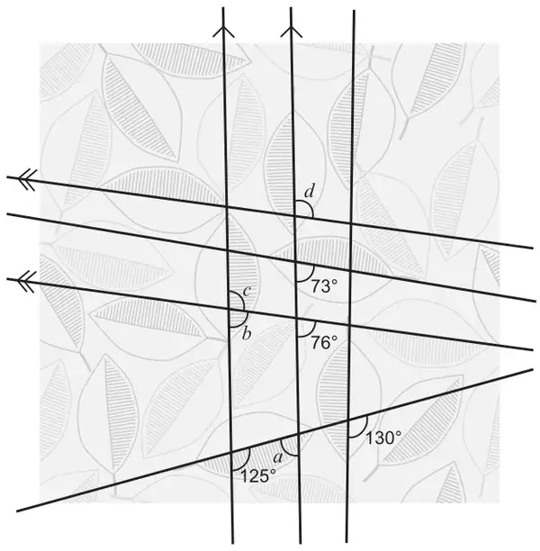 Three near-vertical lines (two marked parallel with single arrows) crossed by three near-horizontal lines (two marked parallel with double arrows) and a sloping line; angles 73°, 76°, 130°, 125° and unknowns a, b, c, d marked