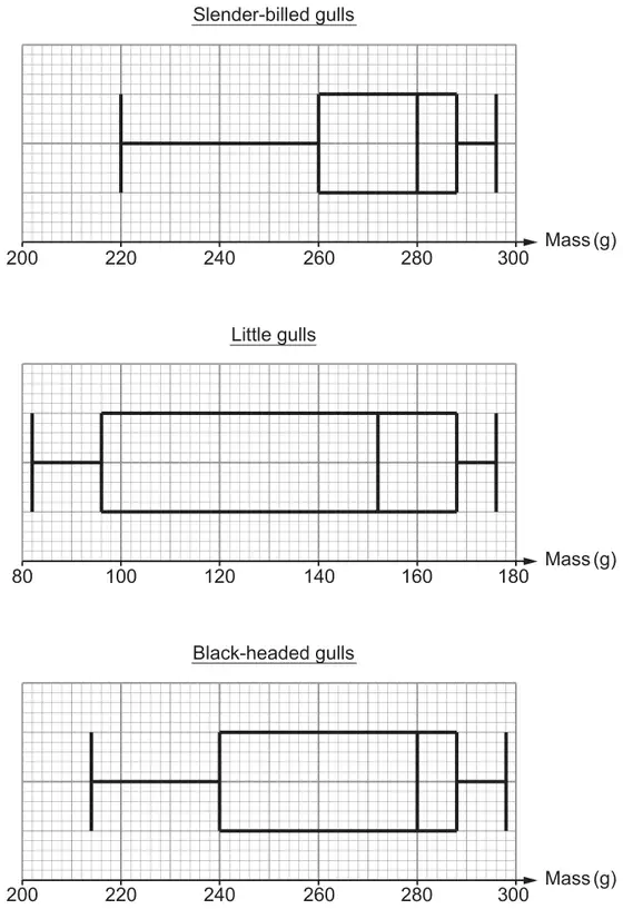 Three box-and-whisker diagrams on grids, Mass (g): Slender-billed gulls (axis 200 to 300), Little gulls (axis 80 to 180), Black-headed gulls (axis 200 to 300)