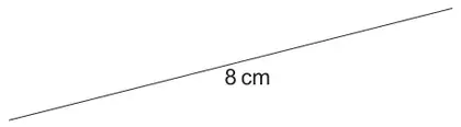 A line segment labelled 8 cm, drawn at a slight upward slope