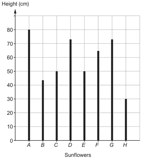 Bar line graph of Height (cm) from 0 to 80 for sunflowers A to H