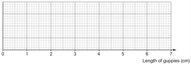 Blank grid with a horizontal axis Length of guppies (cm) from 0 to 7