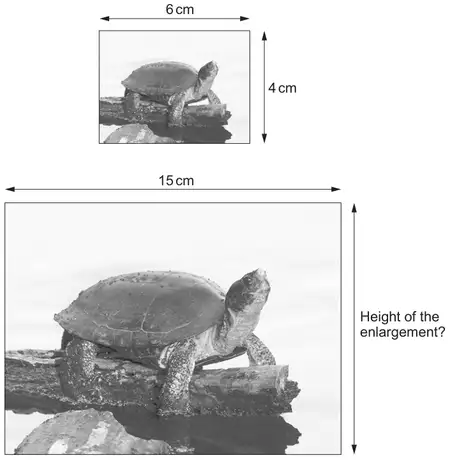 Original photograph 6 cm wide and 4 cm high; enlargement 15 cm wide, height of the enlargement unknown