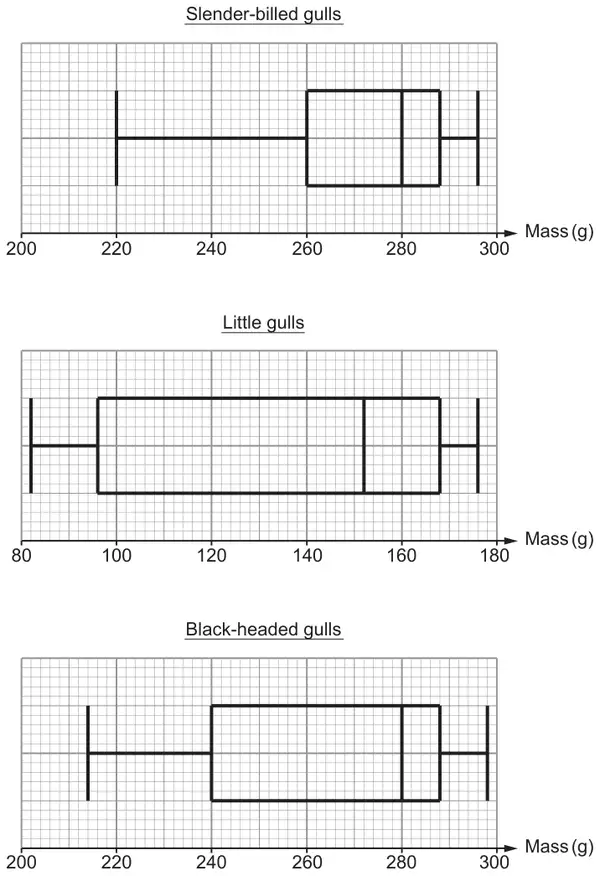 Three box-and-whisker diagrams of Mass (g). Slender-billed gulls on a 200 to 300 scale: 220, 260, 280, 288, 296. Little gulls on an 80 to 180 scale: 82, 96, 152, 168, 176. Black-headed gulls on a 200 to 300 scale: 214, 240, 280, 288, 298