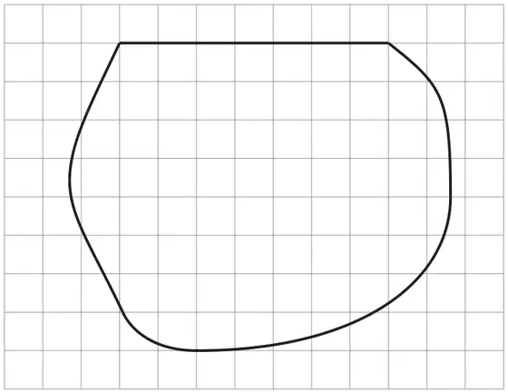 Outline of Mr Owen’s garden drawn on a square grid of 1 cm squares