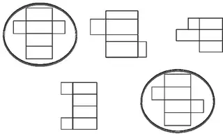 The five nets with the first net in the top row and the second net in the bottom row circled