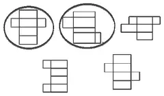 First two nets in the top row circled