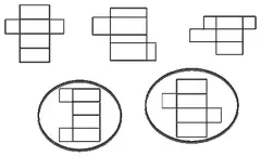 Both nets in the bottom row circled