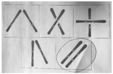 The five ski pictures with the bottom-right picture, the two skis side by side on a diagonal, circled