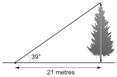 Right-angled triangle: horizontal ground 21 metres from the point to the base of a pine tree, angle of elevation 39° to the top of the tree