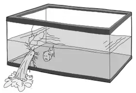 Sketch of a leaking cuboid fish tank