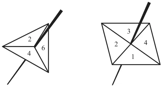 A triangular spinner with sections 2, 4 and 6 and a square spinner with sections 1, 2, 3 and 4