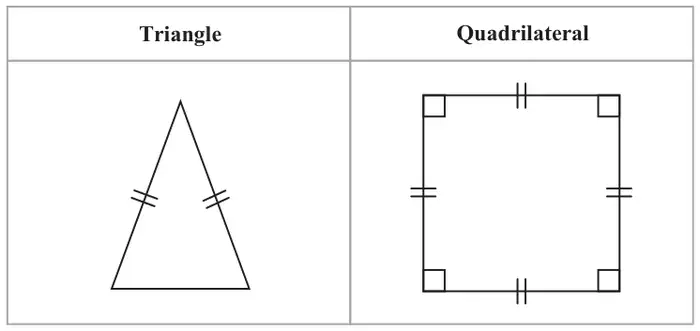 Table with two columns. Triangle: a triangle with two sides marked equal. Quadrilateral: a four-sided shape with all four sides marked equal and four right angles
