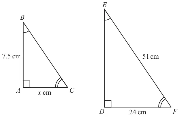 Right-angled triangle ABC with the right angle at A, AB = 7.5 cm and AC = x cm; larger right-angled triangle DEF with the right angle at D, EF = 51 cm and DF = 24 cm; angle B equals angle E and angle C equals angle F