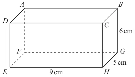 Cuboid ABCDEFGH with top face ABCD and bottom face EFGH; A is above F, B above G, C above H and D above E; EH = 9 cm, HG = 5 cm and GB = 6 cm