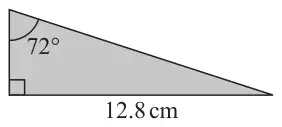 Right-angled triangle; the side of length 12.8 cm is the longer side next to the right angle; the angle of 72 degrees is at the other end of the shorter side next to the right angle