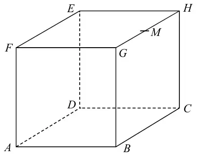 Cube ABCDEFGH with base ABCD and top face EFGH; M is marked on the edge GH