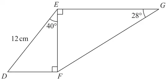 Triangle DEF with right angle at F, DE = 12 cm and angle DEF = 40°; triangle EFG with right angle at E and angle EGF = 28°