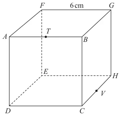 Cube ABCDEFGH with edge FG labelled 6 cm; T is the midpoint of AB and V is the midpoint of CH