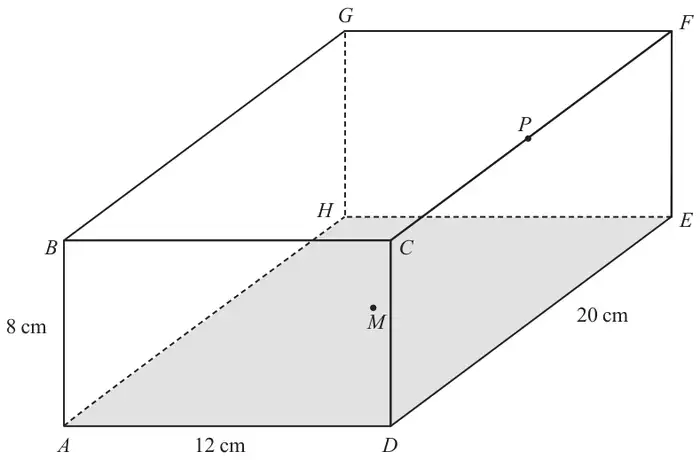 Cuboid ABCDEFGH with shaded base ADEH; AB = 8 cm, AD = 12 cm, DE = 20 cm; M marked at the centre of the base and P at the midpoint of edge CF