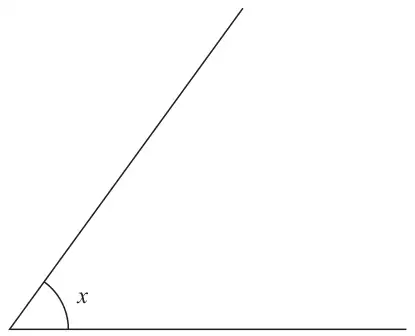 Two straight lines meeting at a point, with the angle x marked between them