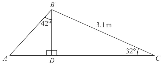 Triangle ABC with D on AC and BD perpendicular to AC. BC = 3.1 m, angle ABD = 42 degrees and angle BCD = 32 degrees