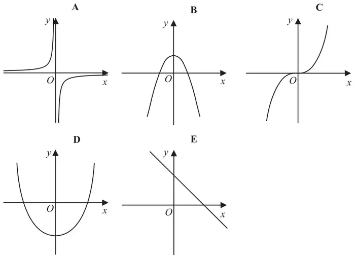 Five sketch graphs: A a reciprocal curve, B an n-shaped parabola with maximum on the positive y-axis, C a cubic through the origin, D a u-shaped parabola with minimum on the negative y-axis, E a straight line with negative gradient