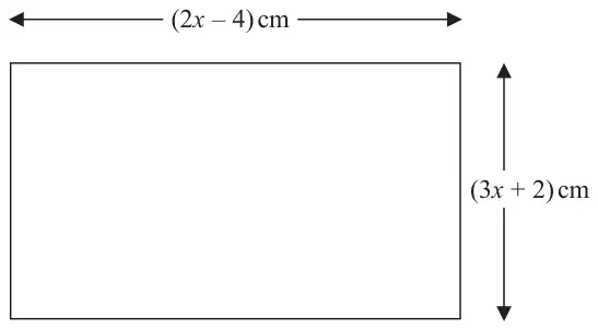 Rectangle with width (2x - 4) cm and height (3x + 2) cm