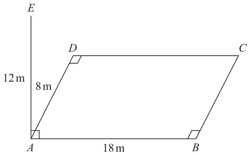 Rectangular field ABCD drawn in perspective with AB = 18 m and AD = 8 m; vertical pole AE of 12 m at A