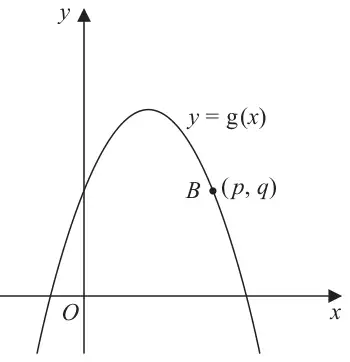 Sketch of an n-shaped curve y = g(x) crossing the y-axis above O, with the point B (p, q) on the curve to the right of its maximum point