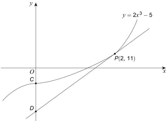 Sketch of y = 2x³ − 5 crossing the y-axis at C, with the tangent at P(2, 11) crossing the y-axis at D below C