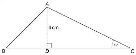 Triangle ABC with base BC. D is on BC and AD is a perpendicular height of 4 cm. Angle ACB is w