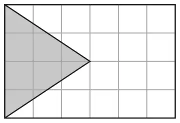 Rectangular flag on a 6 by 4 grid with a shaded triangle
