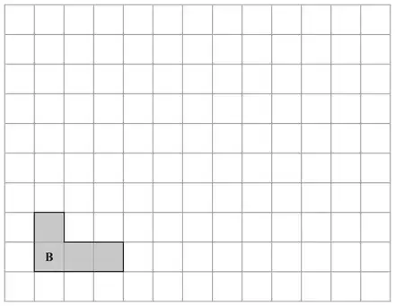 Grid with an L-shaped shape B