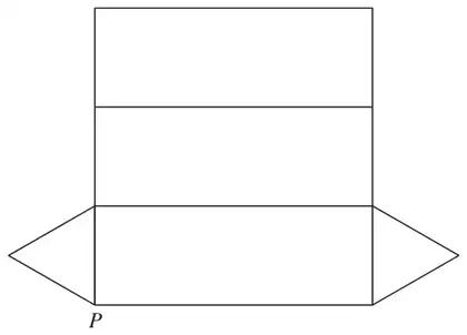 Net of the triangular prism: three rectangles in a column with a triangle on each side of the bottom rectangle; point P at the bottom left corner